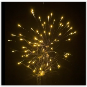 25 shot Festival - Rainbow tails to Rainbow Peony