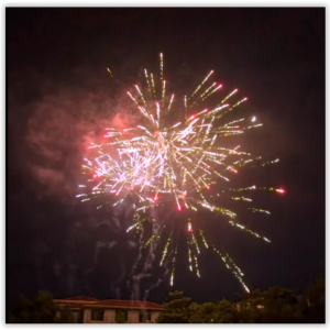 25 shot Fantasia - Silver tails to Red & Blue Coconut