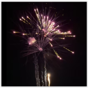 16 shots Rio - Silver Tails to alternate Lemon Palm, Violet Palm, Orange Palm & Blue Palm