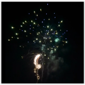 16 shot Predator - Silver Spinners to Blue Peony with Green Strobe