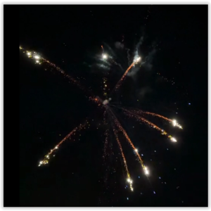 16s Raider - Silver Glittering Tails to Silver Glittering Willow with Blue Pearls