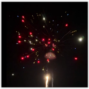 16 shot Venom - Silver Tails to Dark Red & Blue Peony with White Strobe