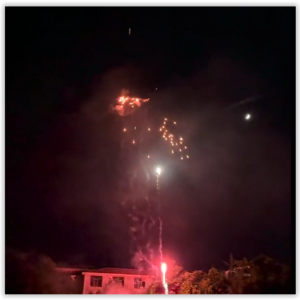 25 shots Colourful Falling Leaves