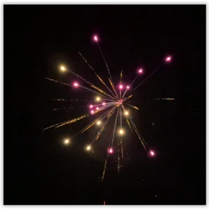 19 shots Element 6 - Gold Silk Willows with Lemon & Purple Stars